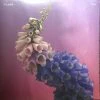 Famous Rock Shop Vinyl Records Flume Skin Vinyl