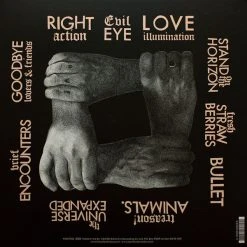 Famous Rock Shop Vinyl Records Franz Ferdinand - Right Thoughts Right Words Right Action Vinyl LP -Famous Rock Shop Franz Famous Rock Shop Newcastle1 800x