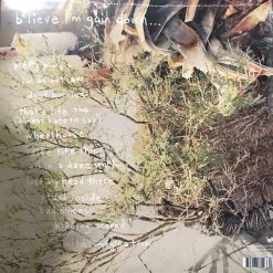 Famous Rock Shop Vinyl Records KURT VILE B'LIEVE I'M GOIN DOWN VINYL LP -Famous Rock Shop FullSizeRender 68 copy 800x