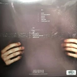 Famous Rock Shop Vinyl Records Gordi Reservoir Limited Edition Coloured Vinyl LP -Famous Rock Shop Gordi Reservoir FRS Newcastle 2300 NSW Australia copy 800x