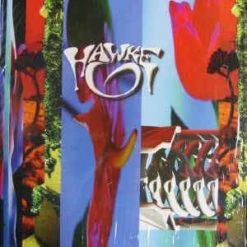 Famous Rock Shop Vinyl Records Hawke ‎– Erections From Namaquadisco Volume 1 Vinyl Lp