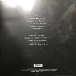 Famous Rock Shop Vinyl Records NICK CAVE & THE BAD SEEDS Push The Sky Away Vinyl LP -Famous Rock Shop IMG 0789 4 800x