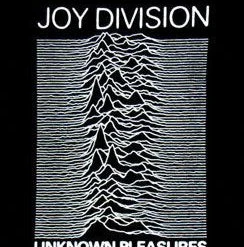 Famous Rock Shop Joy Division Unknown Pleasures Unisex Tee -Famous Rock Shop JoyDivisionUnknownPleasuresUnisexTee. 800x