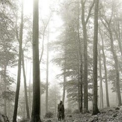 UMA Taylor Swift Folklore In The Trees Edition Vinyl 2LP