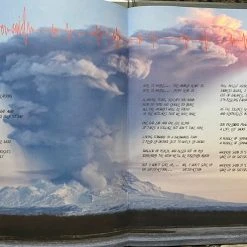 Famous Rock Shop Vinyl Records Pearl Jam Gigaton Limited-Edition With Book Vinyl LP -Famous Rock Shop image 620507e9 371d 42b7 bcc6 03beb05a855f 800x