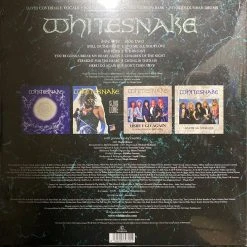 Famous Rock Shop Whitesnake Picture Record Stone Day Exclusive Vinyl Record -Famous Rock Shop image 9ed23e80 08d3 4b86 91f4 5dbeea8e2839 800x