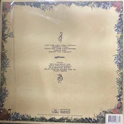 Famous Rock Shop The Heskey Brother Run Home Slow Vinyl LP -Famous Rock Shop image bee069ee 78ee 45a9 a175 51a98459641c 800x